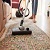 carpetcleaningmountmartha