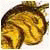 finBum